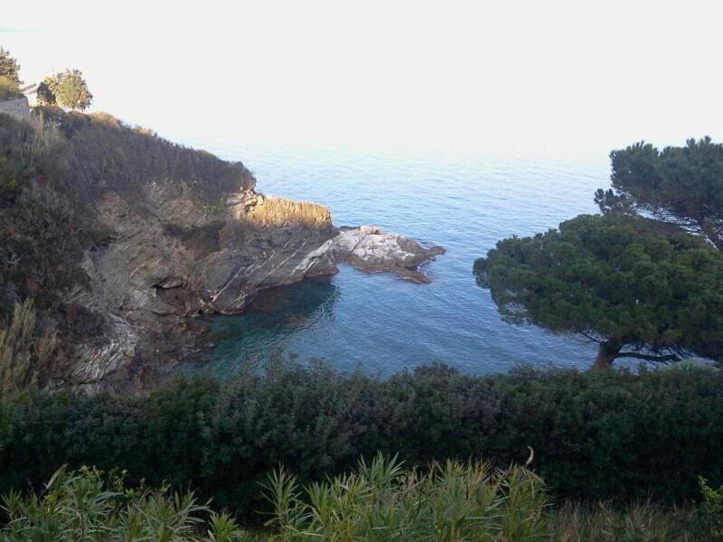 Appartamenti Estivi Anna E Pino Rio Marina Buitenkant foto